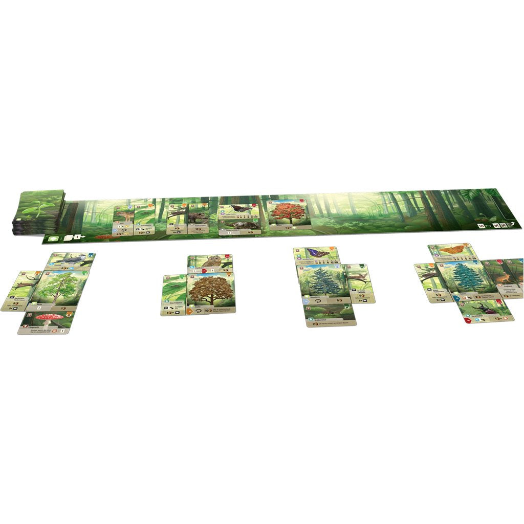 Forest Shuffle Strategy Card Game